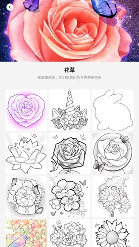 护肤品代购水有多深